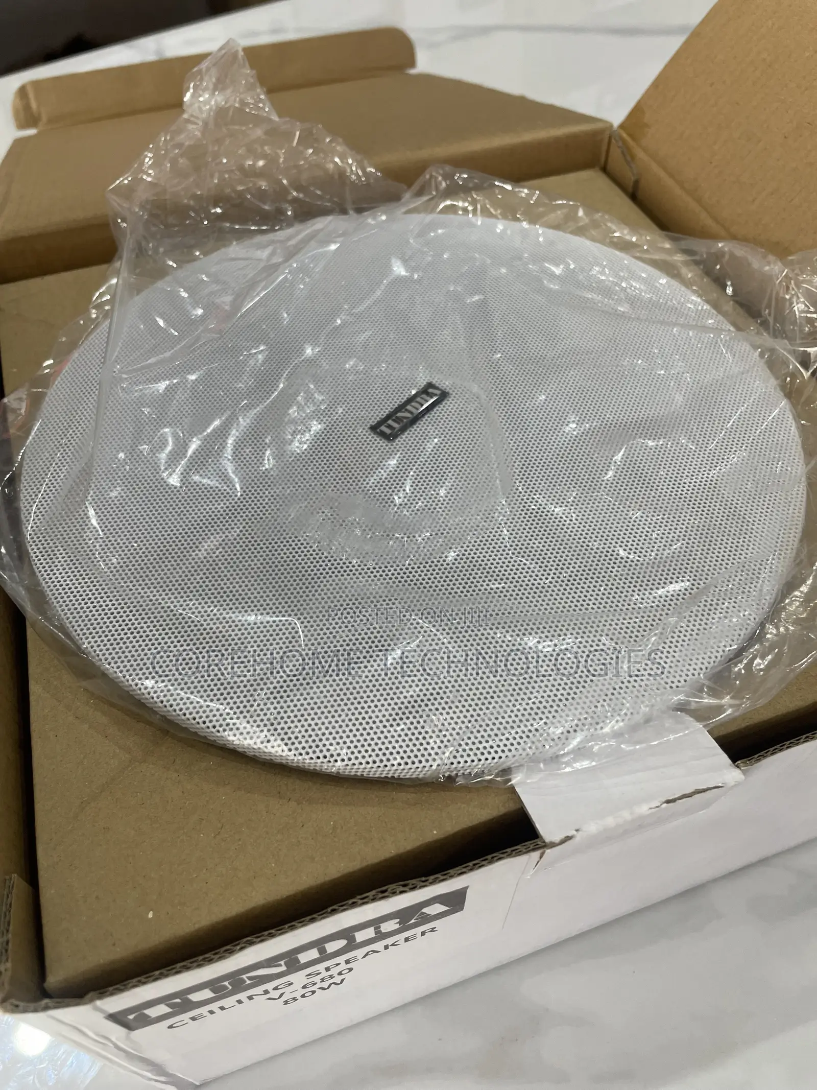 Bluetooth Ceiling Speaker