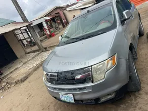 Ford Edge 2010 Silver