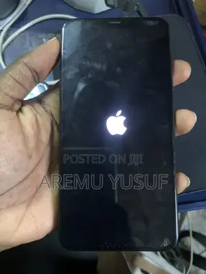 iPhone 11 Pro Max Screen