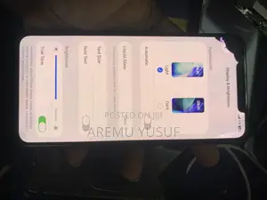 iPhone 11 Pro Max Screen
