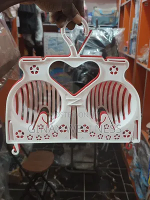 Multipurpose Plastic Bra Hangers and Underwear Drying Rack
