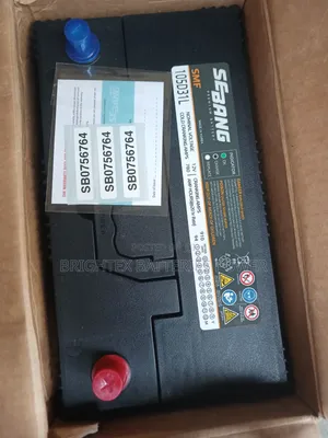 90Ahs Sebang Global Battery