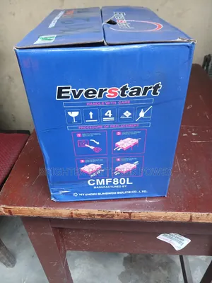 80ahs Everstart Premium Car Battery
