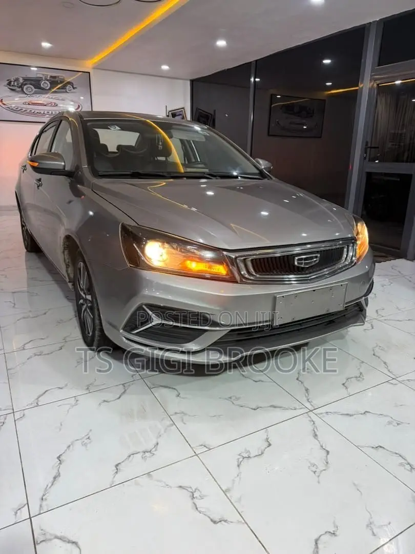 Geely Emgrand Luxury 2021 Gray