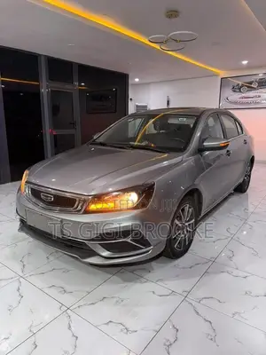 Geely Emgrand Luxury 2021 Gray