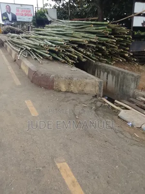 Bamboo Sticks for Sale Nationwide in Nigeria