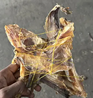 Eti Panla for All Nigeria Soup