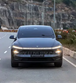 New Tesla Model Y 2025 Gray
