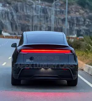 New Tesla Model Y 2025 Gray