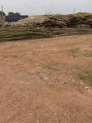 Best Sellers of Bamboo Sticks