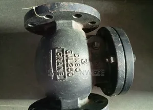 3-Inch Flanged Cast Iron Swing Check Valve