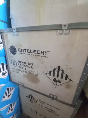 Entelechy 5kwh 24v Lithium Ion Batteries