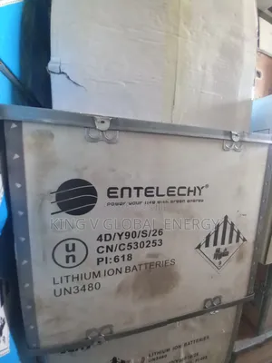 Entelechy 5kwh 24v Lithium Ion Batteries