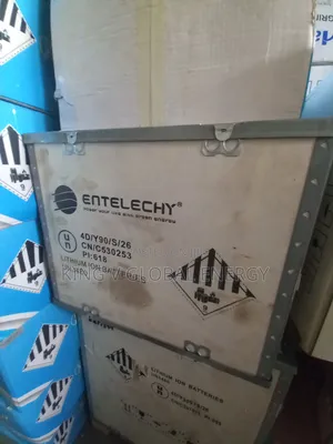 Entelechy 5kwh 24v Lithium Ion Batteries