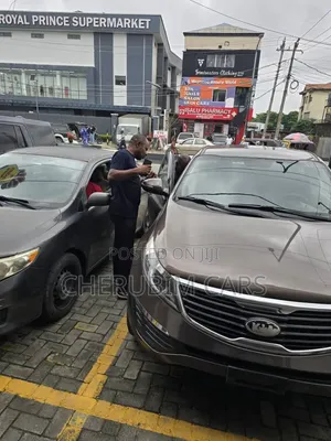 Kia Sportage 2013 Gray
