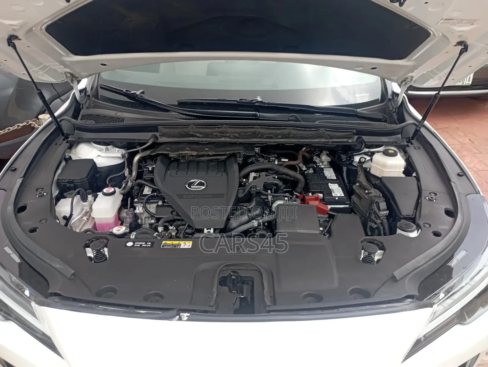 Lexus RX 2024 White