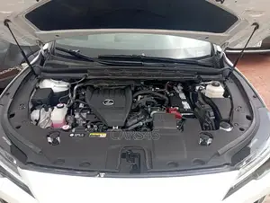 Lexus RX 2024 White