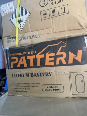 2.5Kwh 24V Pattern Lithium Ion Battery