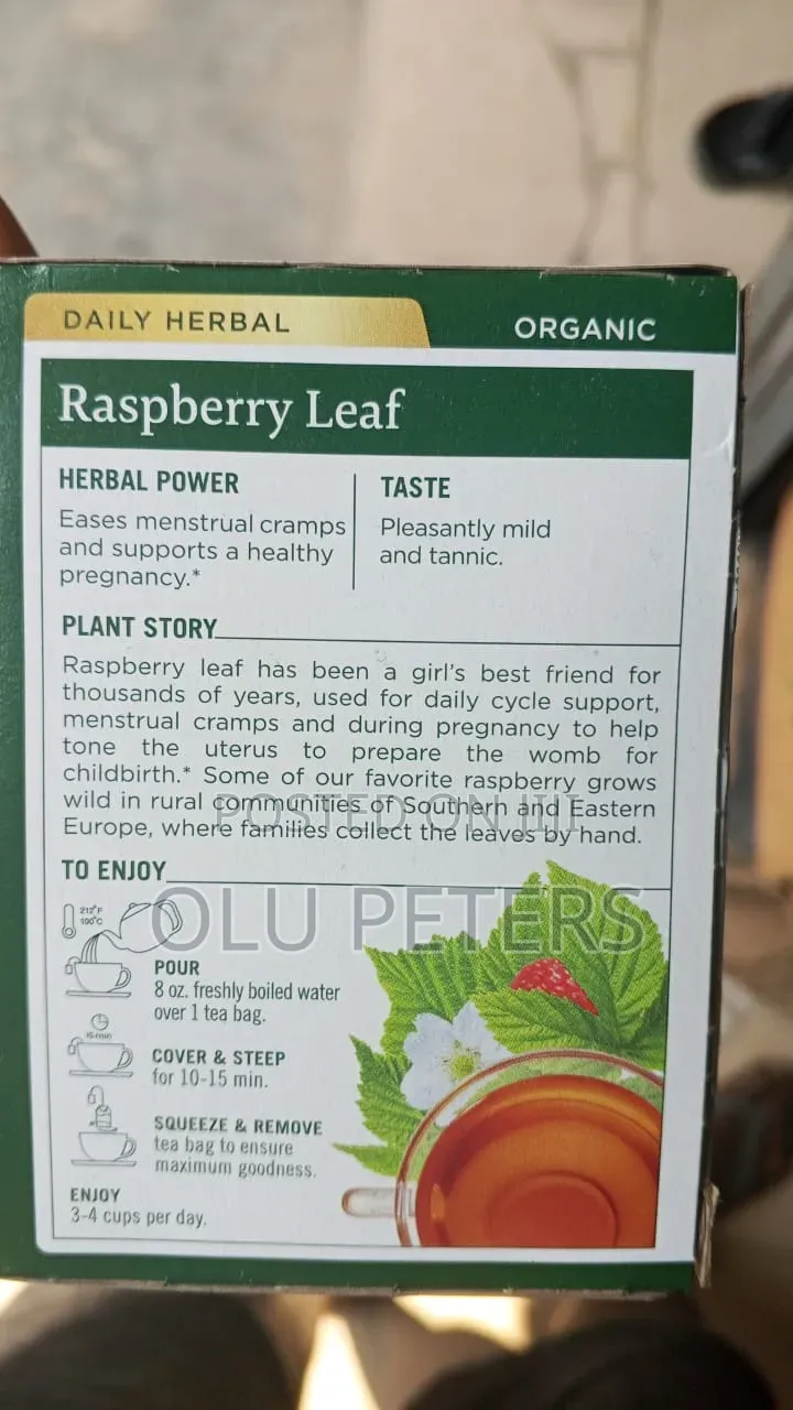Organic Spearmint
