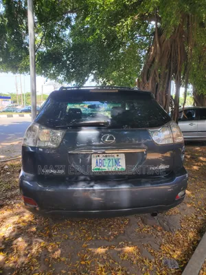 Lexus RX 2007 Blue