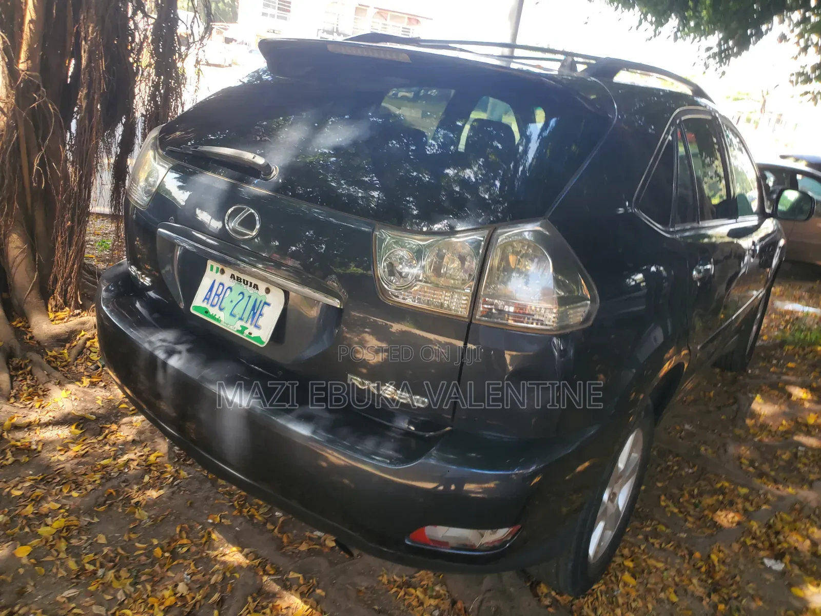 Lexus RX 2007 Blue