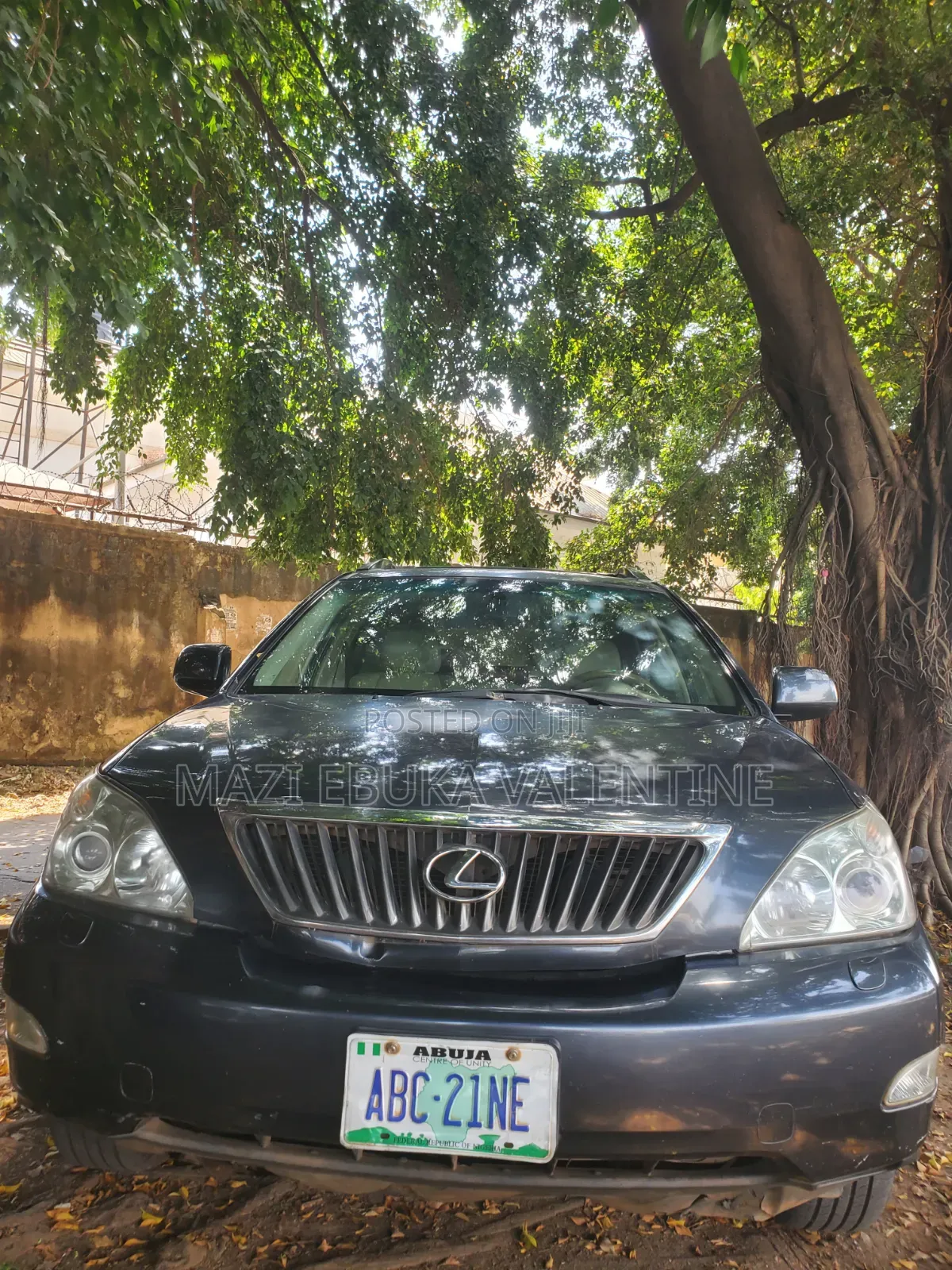 Lexus RX 2007 Blue