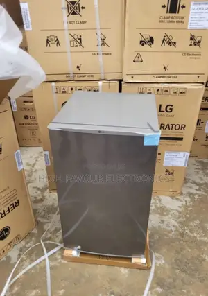 LG Midsize Refrigerator