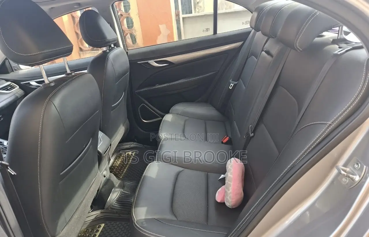 Geely Emgrand Luxury 2021 Gray
