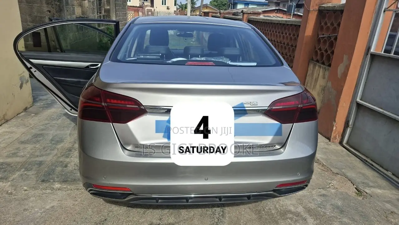 Geely Emgrand Luxury 2021 Gray