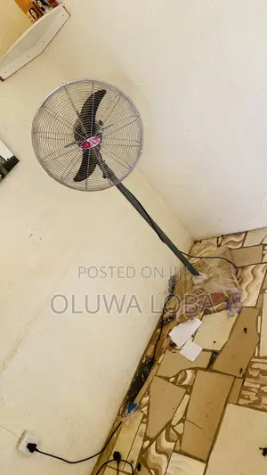 OX Medium Fan