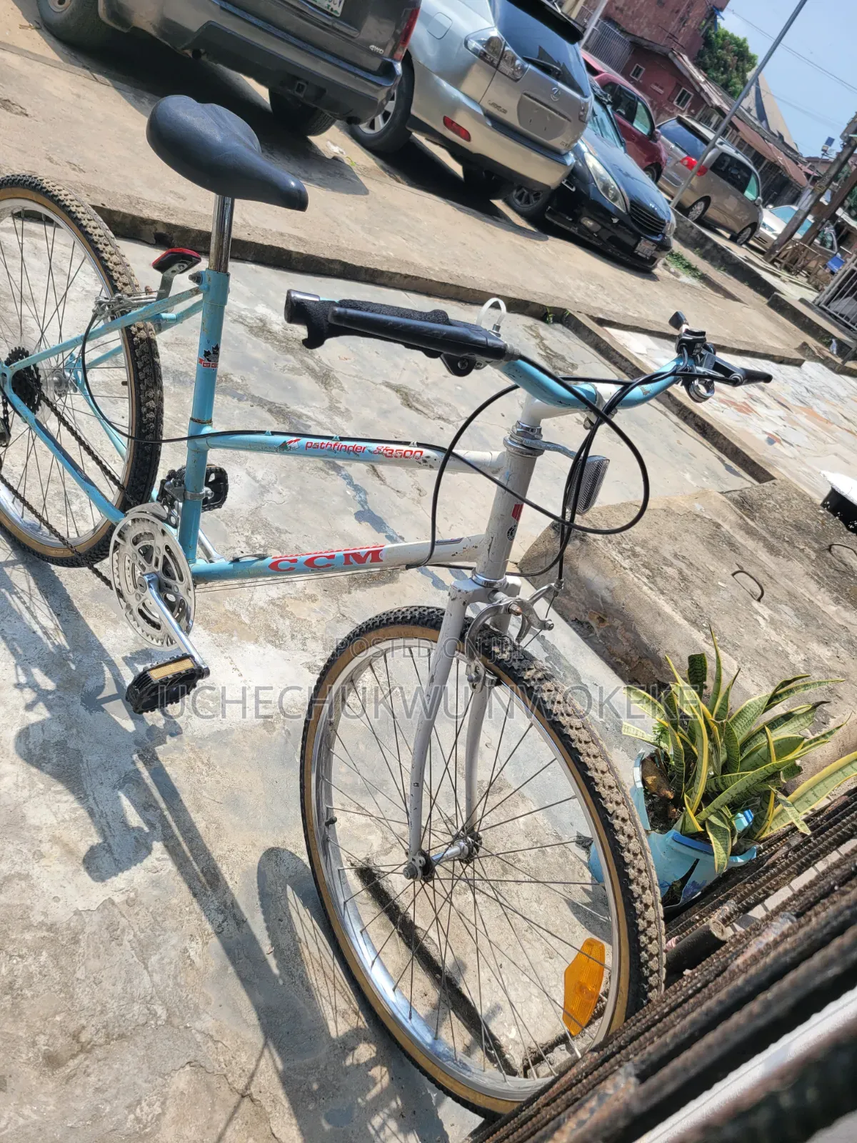 Bicycle Basic