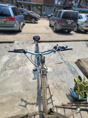 Bicycle Basic
