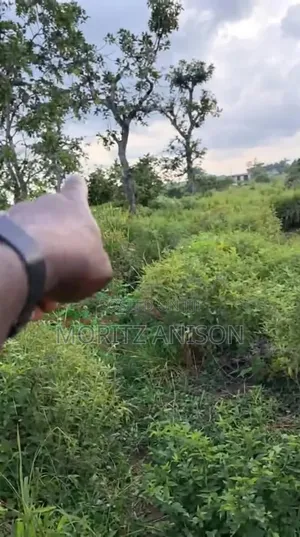 Destress Sale: A Plot of Land Opposite Goodluck Jonathan Emene