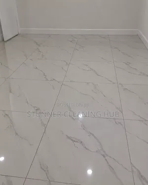 Professional Floor Cleaning