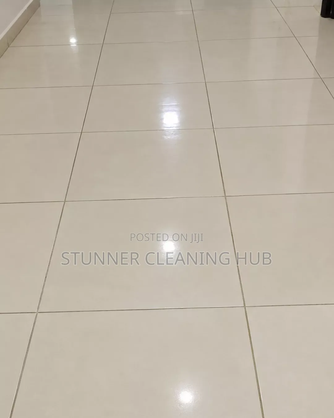 Professional Floor Cleaning