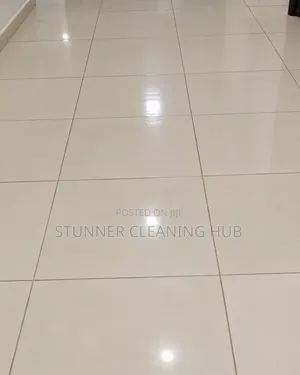 Professional Floor Cleaning