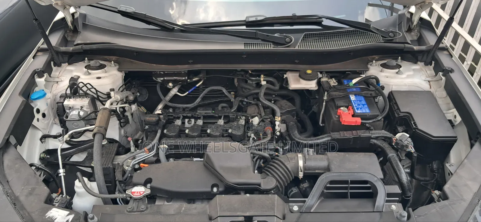 Honda CR-V 2023 White