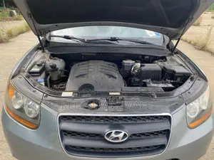 Hyundai Santa Fe 2010