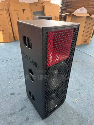 Professional Double 15 Inches Speaker