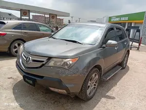 Acura MDX 2008 Gray