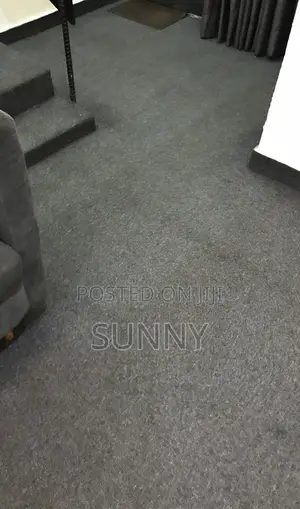 Gray/Ash Colour Rug