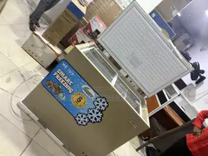 Nexus NX-265HEI Inverter Deep Freezer for Provision Shops