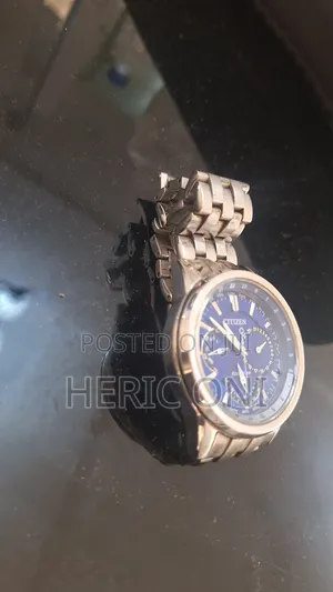 A Magnificent Solar Powered Citizen Eco-Drive World Time