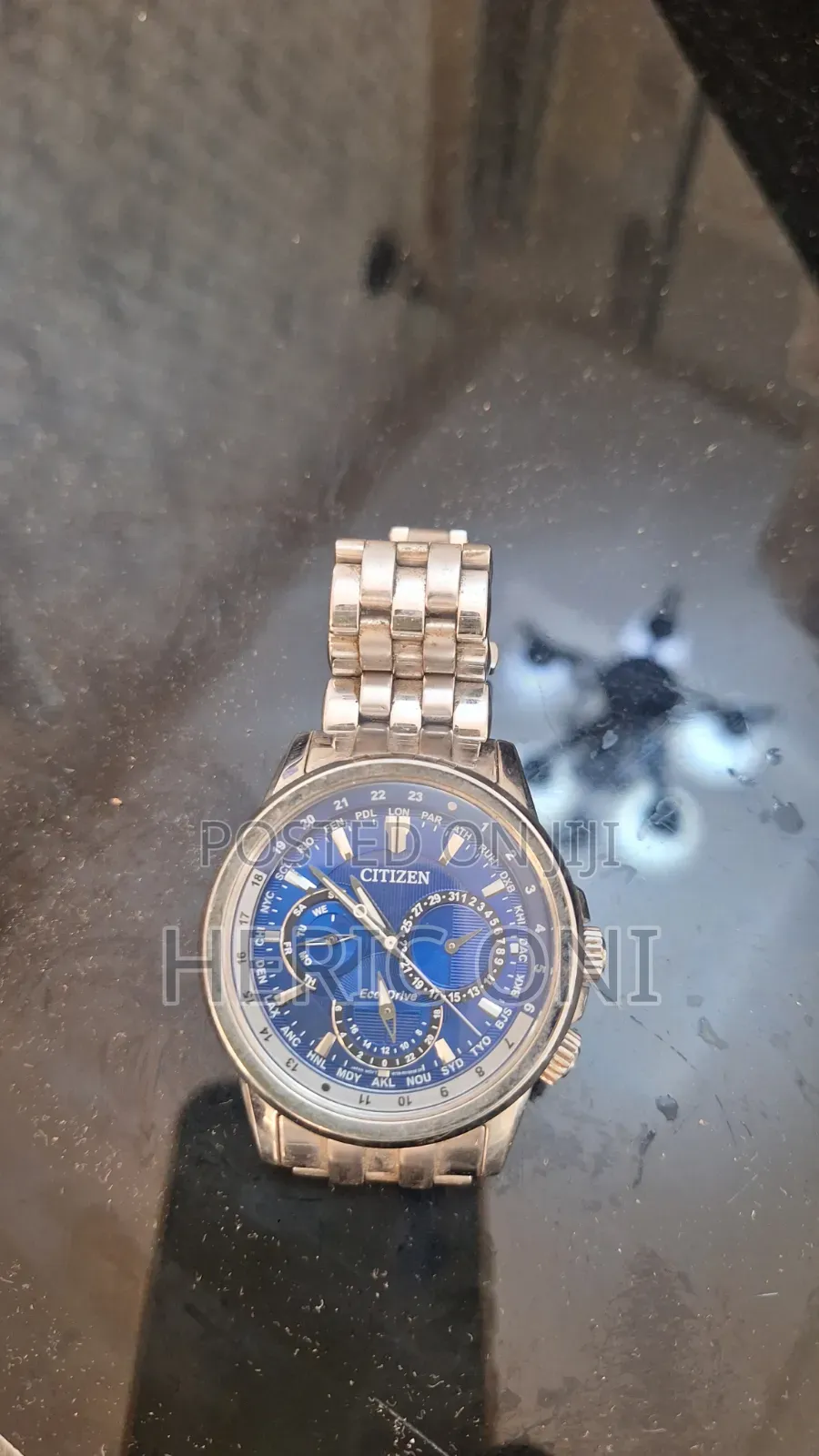 A Magnificent Solar Powered Citizen Eco-Drive World Time