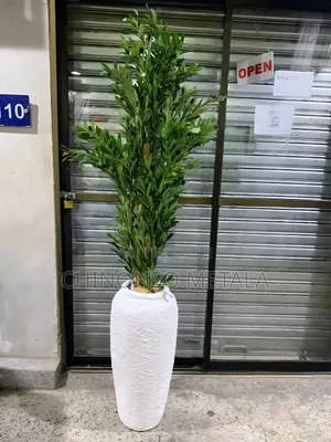 Olive Plant and Textured Fiber Pot