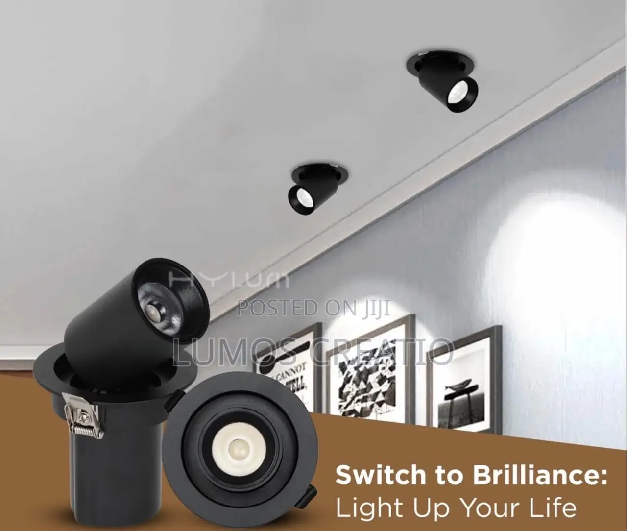 Ceiling Light
