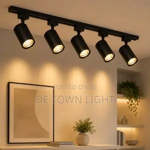 Track Lights