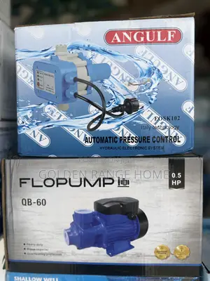 Pressure Pump With Automatic Control