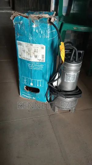 Lowara Sewage Pump
