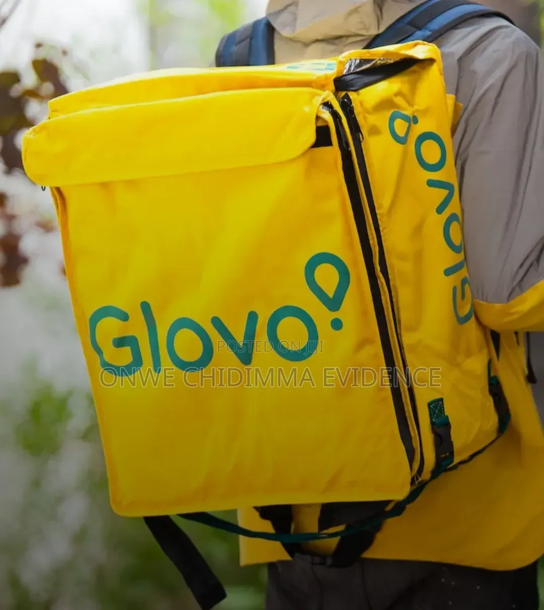 Delivery Bag